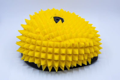 GasGas EX 250 FunnelWeb Filter